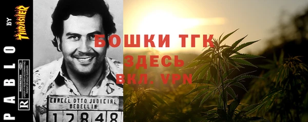 экстази Бородино