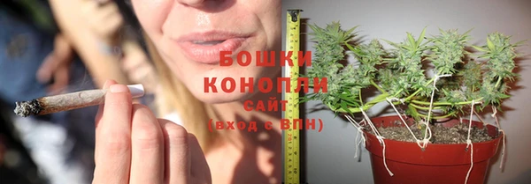 экстази Бородино