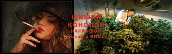 экстази Бородино