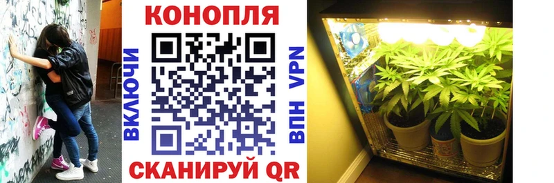 Купить где  Ряжск  Канабис LSD WEED 
